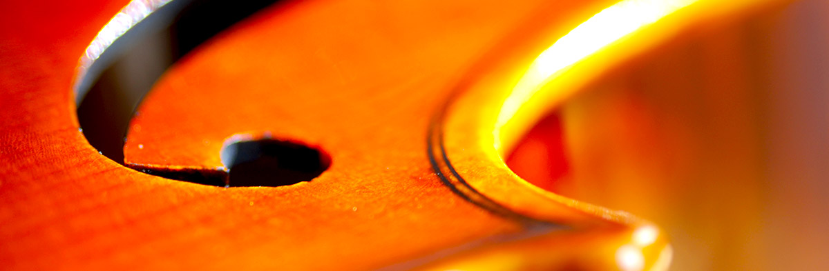 violin